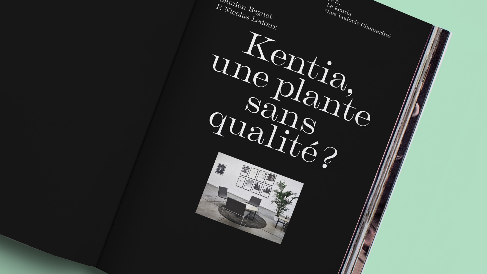 abmstudio-site-lc_total_lc_kentia5.jpg