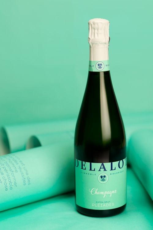 abmstudio-site-Champagne-Delalot-3.jpg