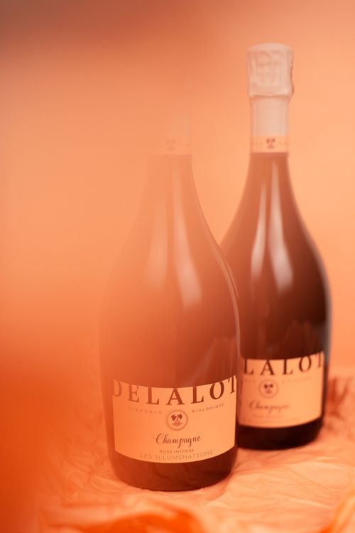 abmstudio-site-Champagne-Delalot-4.jpg