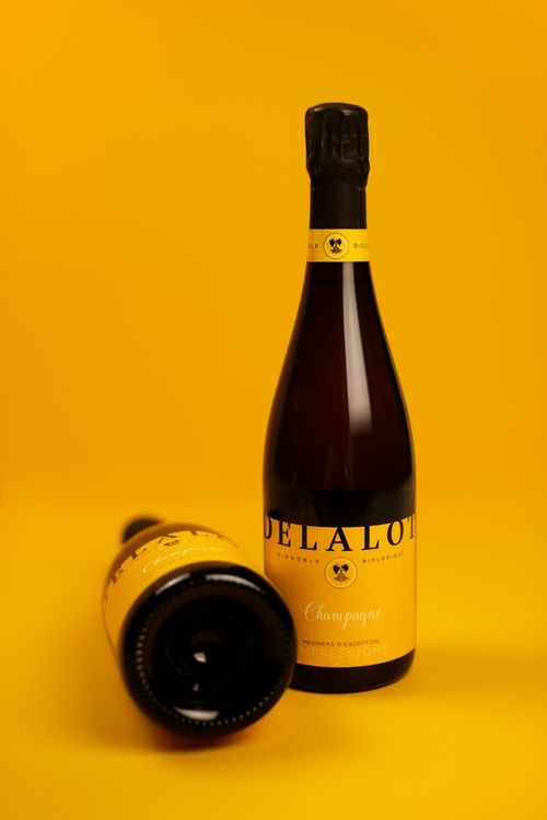 abmstudio-site-Champagne-Delalot-5.jpg