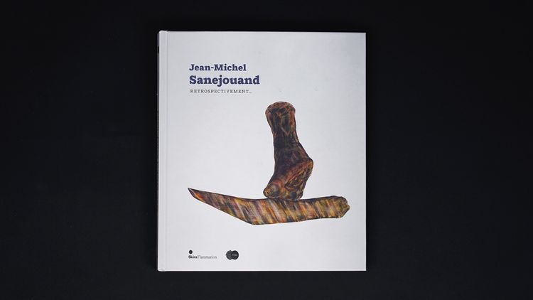 abmstudio-site-Jean-Michel-Sanejouand-1.jpg