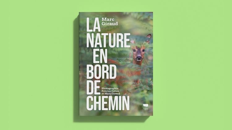 abmstudio-site-au-bord-du-chemin12.jpg