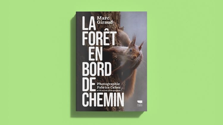 abmstudio-site-au-bord-du-chemin13.jpg