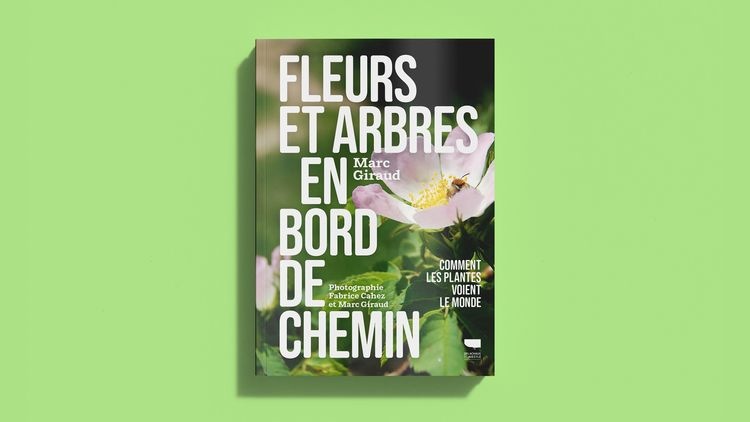 abmstudio-site-au-bord-du-chemin14.jpg