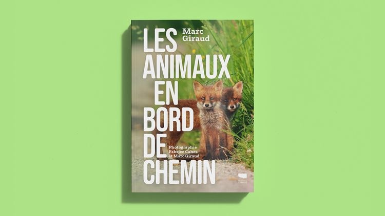 abmstudio-site-au-bord-du-chemin15.jpg