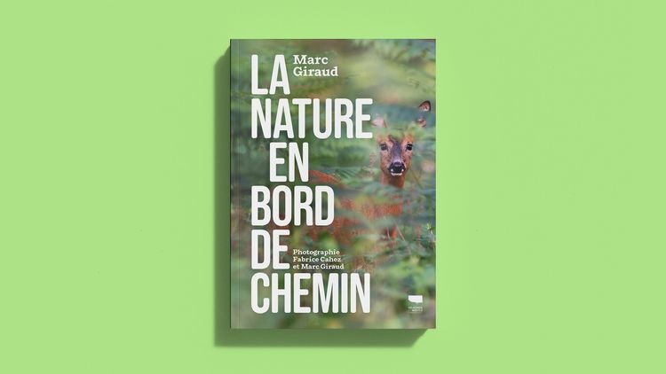 abmstudio-site-au-bord-du-chemin2.jpg