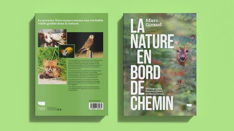 abmstudio-site-au-bord-du-chemin3.jpg