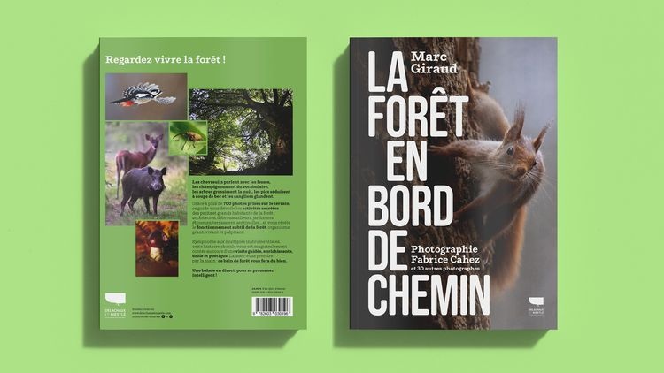abmstudio-site-au-bord-du-chemin4.jpg
