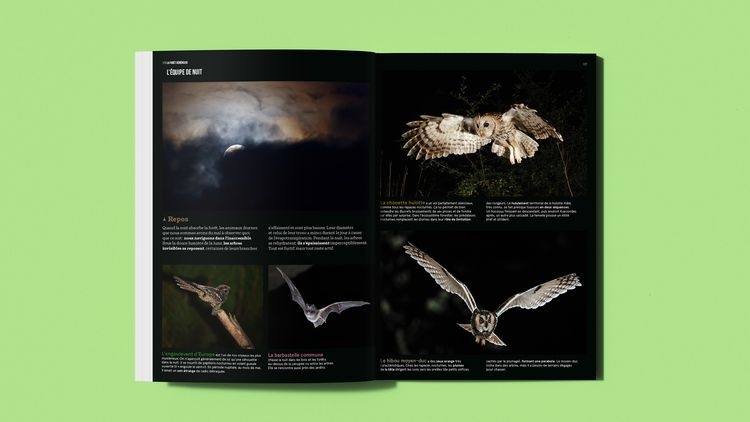 abmstudio-site-au-bord-du-chemin9.jpg