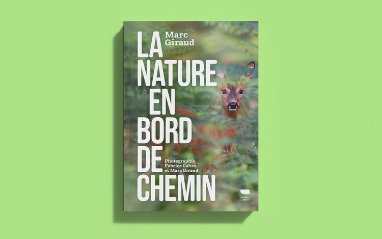 abmstudio-site-au-bord-du-chemin.jpg