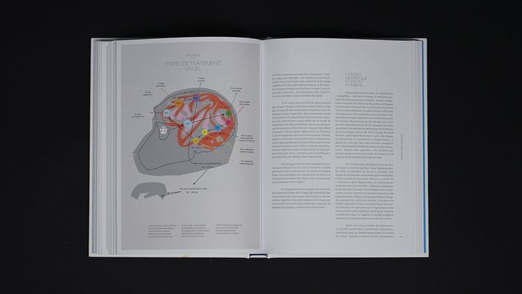 abmstudio-site-cerveau-4.jpg