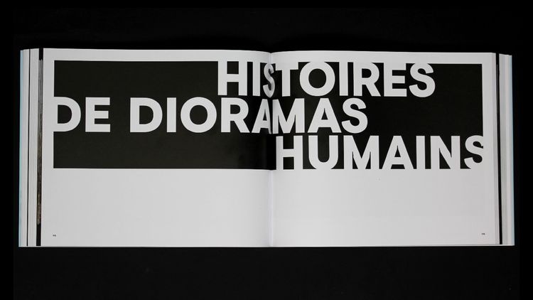 abmstudio-site-dioramas-6.jpg