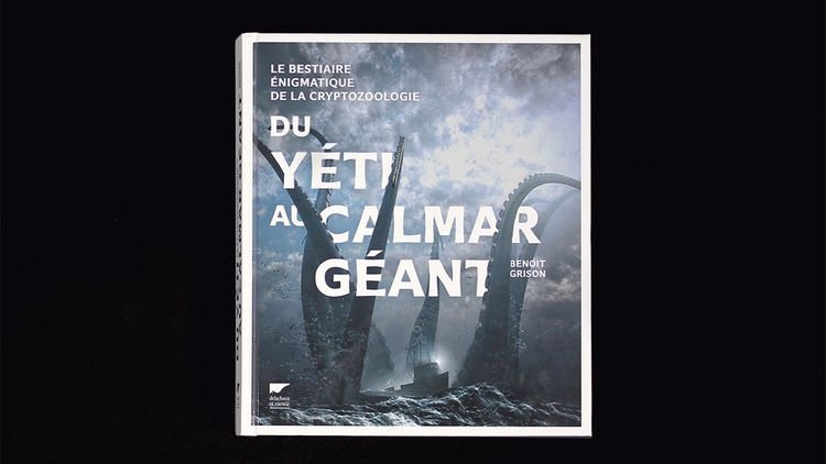 abmstudio-site-du-yeti-au-calamar-geant-1.jpg