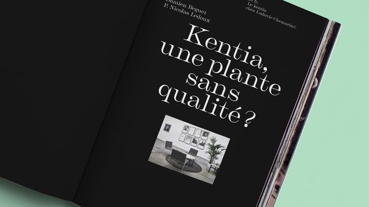 abmstudio-site-lc_total_lc_kentia5.jpg
